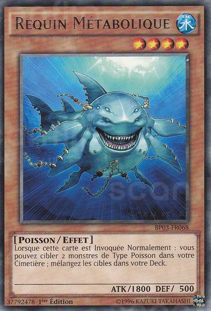 Requin Métabolique