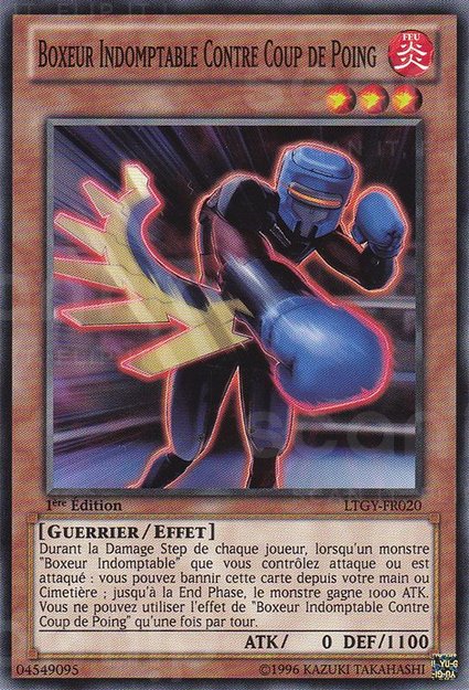 Boxeur Indomptable Contre Coup de Poing