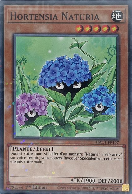 Hortensia Naturia
