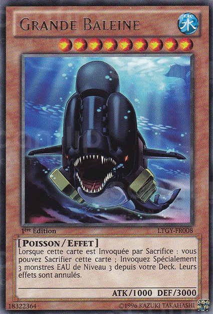 Grand Baleine
