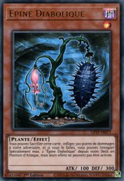 Épine Diabolique