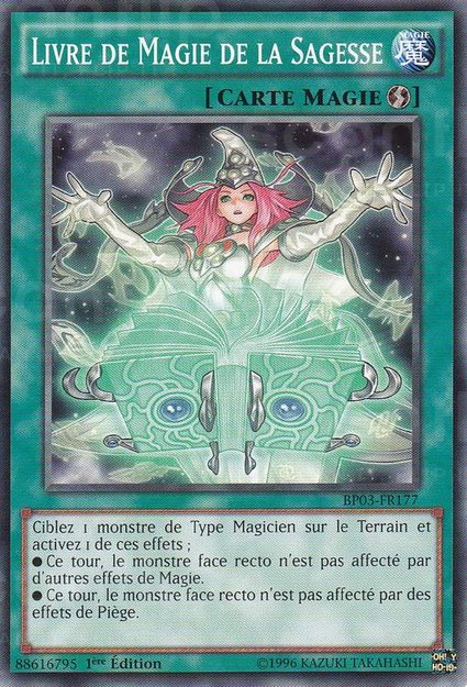 Livre de Magie de la Sagesse