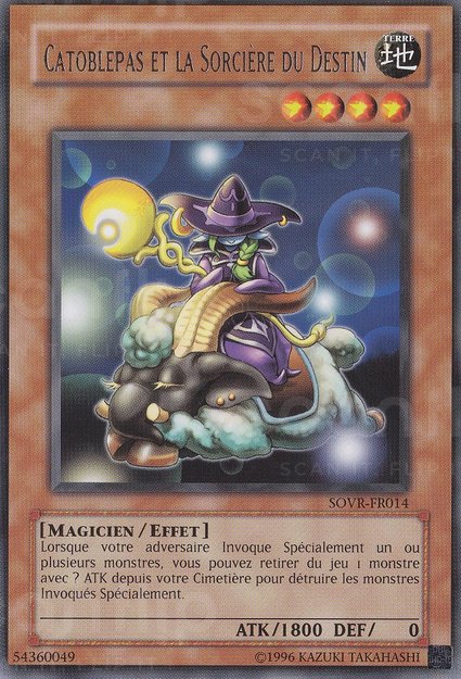 Catoblepas et la Sorcière du Destin