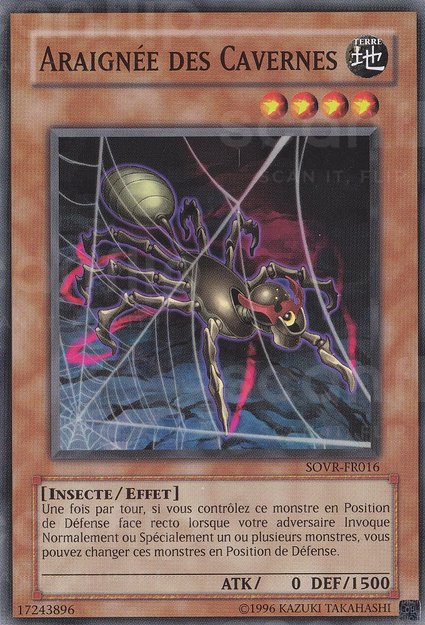 Araignée des Cavernes