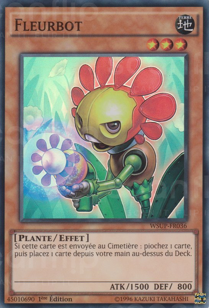 Fleurbot