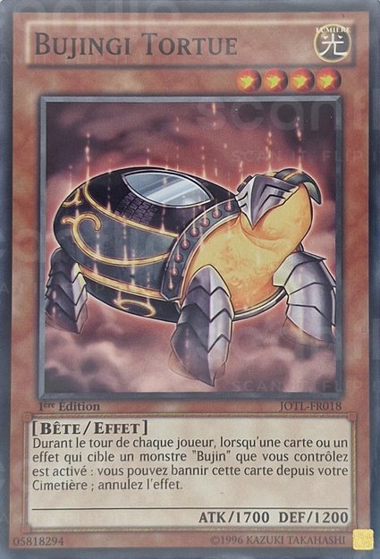 Bujingi Tortue