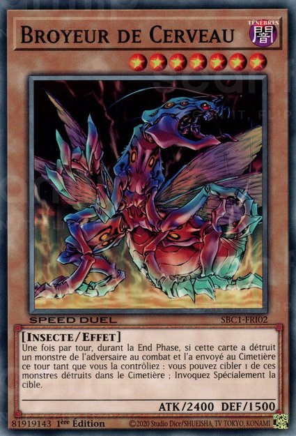 Broyeur de Cerveau