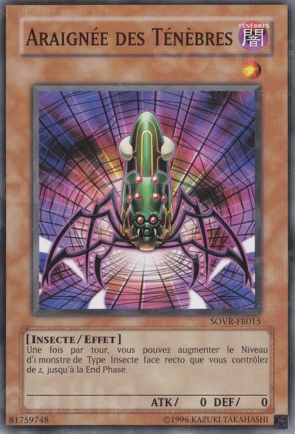 Araignée des Ténèbres