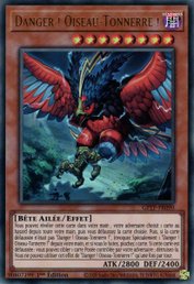 Danger ! Oiseau-Tonnerre !