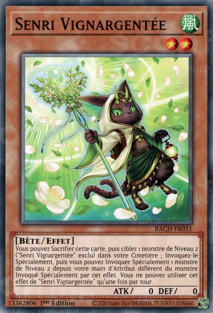 Senri Vignargentée