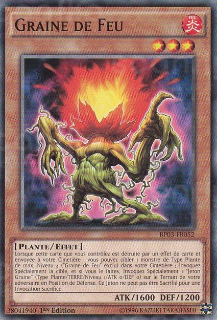 Graine de Feu