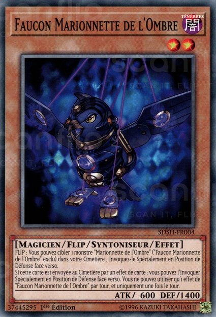 Faucon Marionnette de l'Ombre
