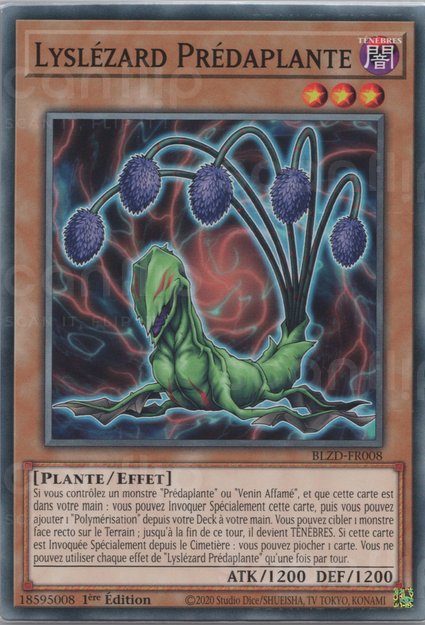 Lyslézard Prédaplante