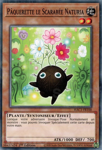 Pâquerette le Scarabée Naturia