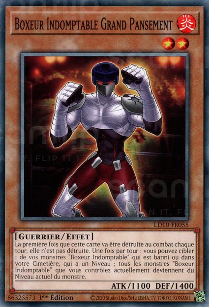 Boxeur Indomptable Grand Pansement