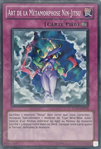 Art de la métamorphose Nin-Jitsu