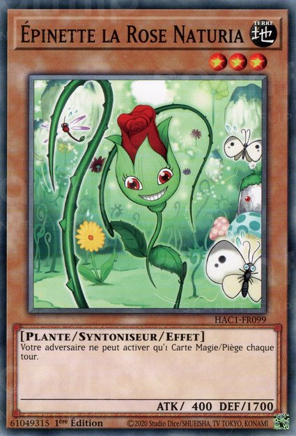 Épinette la Rose Naturia