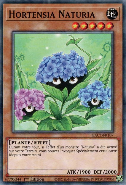 Hortensia Naturia