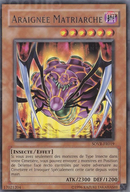 Araignée Matriarche