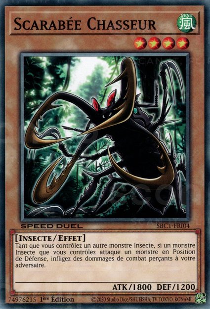 Scarabée Chasseur