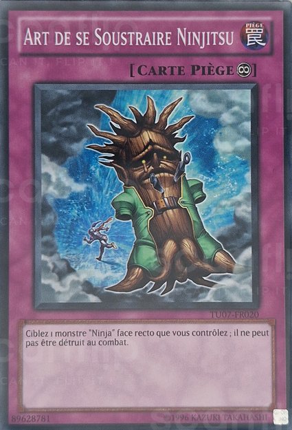 Art de se Soustraire Ninjitsu