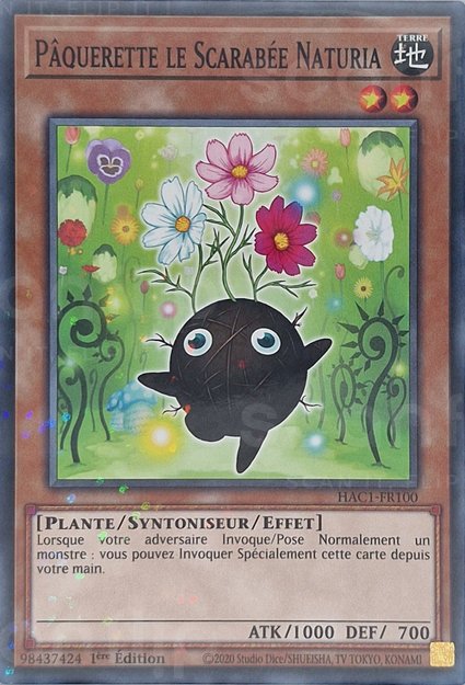 Pâquerette le Scarabée Naturia