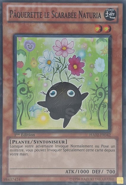 Pâquerette le Scarabée Naturia