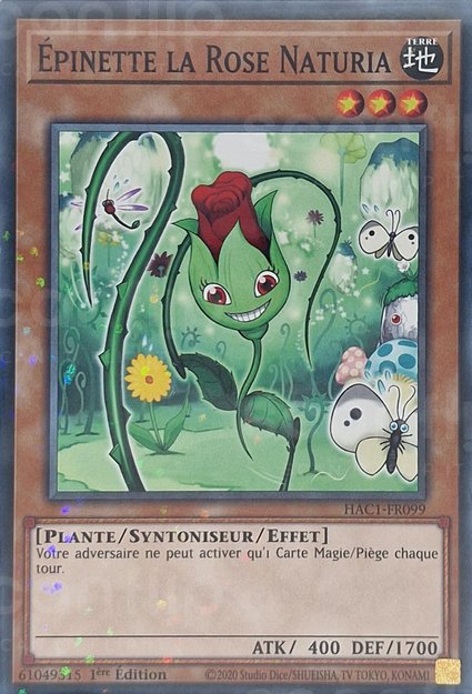 Épinette la Rose Naturia