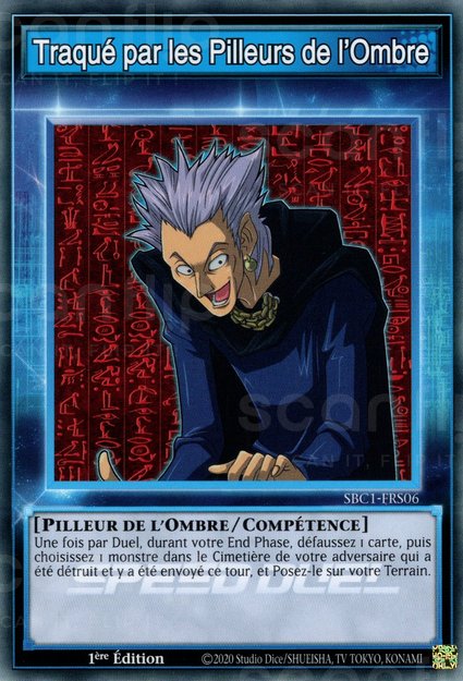 Traqué par les Pilleurs de l'Ombre