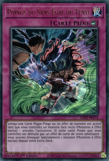 Poings du Sans Égal du Tenyi